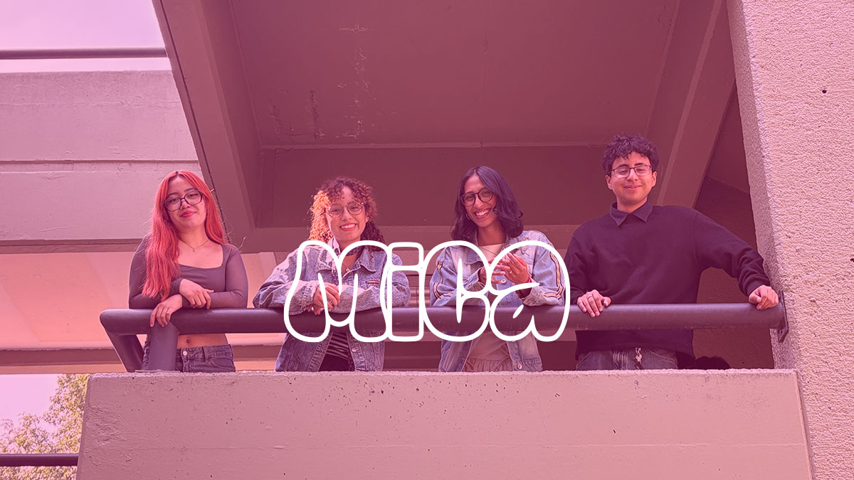 Proyecto visual de MICA
